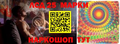 сатива Новокубанск