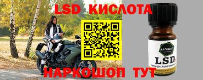 твердый Бийск