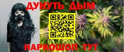 Альфа ПВП Новозыбков