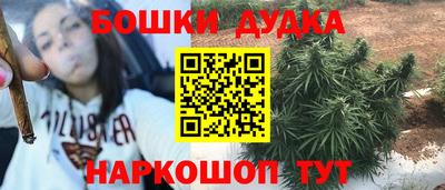 Альфа ПВП Новозыбков