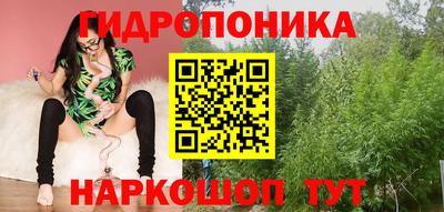 сатива Новокубанск