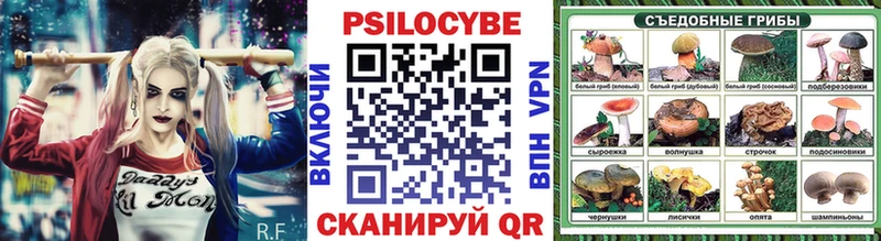продажа наркотиков  Шали  Галлюциногенные грибы ЛСД 