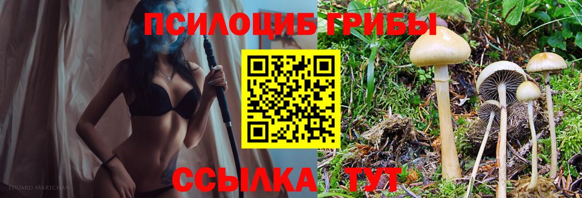 Псилоцибиновые грибы GOLDEN TEACHER Шали