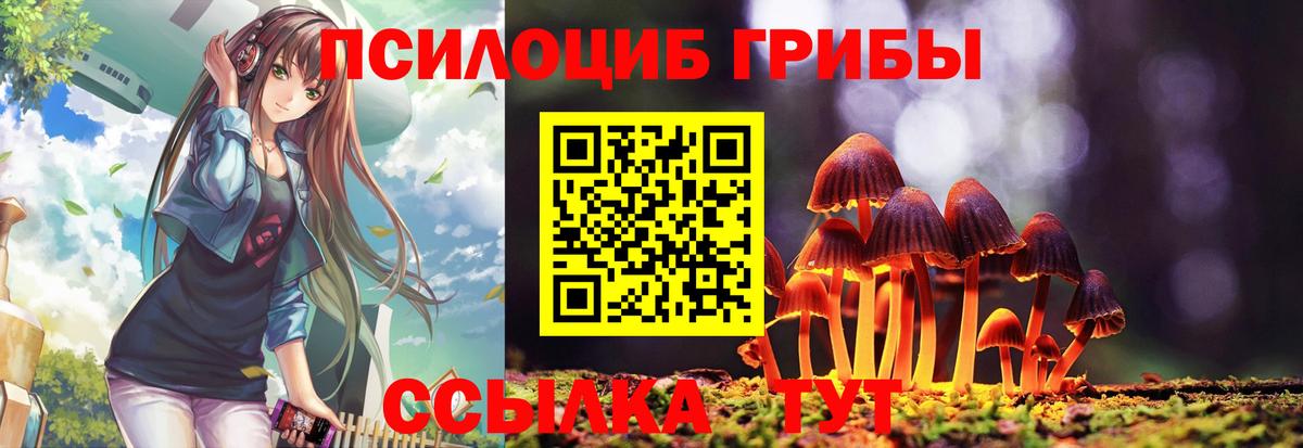 Псилоцибиновые грибы Magic Shrooms  Шали 