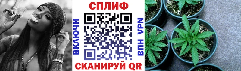 Марихуана VHQ  что такое наркотик  KRAKEN ССЫЛКА  Шали 
